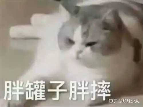 不节食但是坚持运动,能变瘦吗
