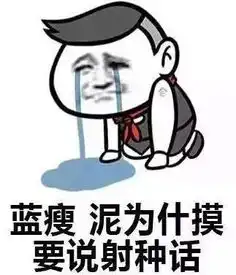  这里没有蓝瘦和香菇