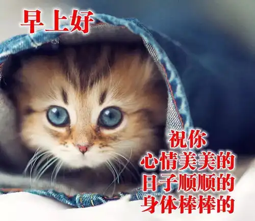  早上好问候语图片带关心句子早安祝福语表情