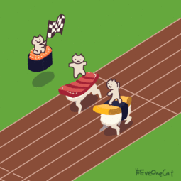  让插画师来告诉你,养猫是一件多么幸福的事