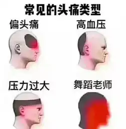  哈哈哈哈哈哈哈哈艺术生们都在用的表情包笑得我肚子疼