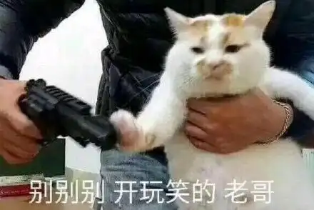 搞笑沙雕表情包就知道你欺负老实人,辛亏老子不老实