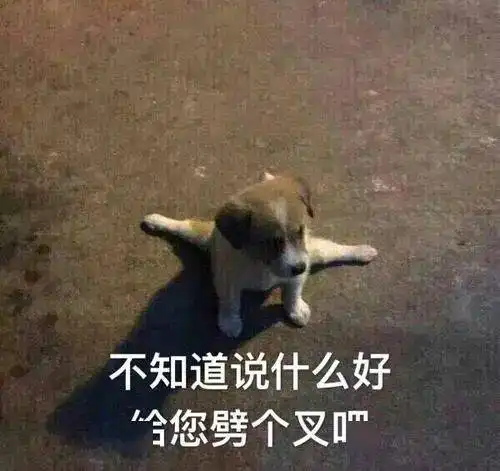  俩ai相亲后同居一个月,聊天记录全曝光男的追着女的直喊妈该送去维修了