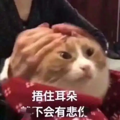  抖音热门表情包在查资料如何让你做我女朋友