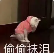  数据库与我一段关于学习与成长的深情回顾
