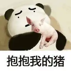  热门无水印斗图表情包