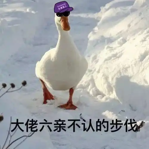  要加油鸭可爱的鸭鸭表情包