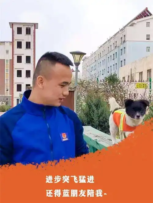 黑豆,搜救犬成长记 黑豆,搜救犬成长记