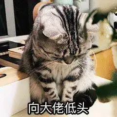 沙雕表情包丨在吗宝贝er