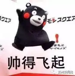  期待9年的金鸡湖隧道有新消息啦没有红灯直穿湖西湖东,还有这些大变化