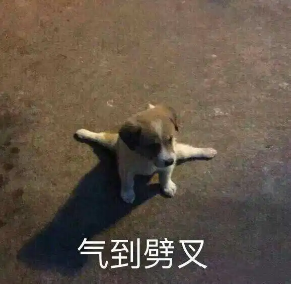  101里zxn到底什么时候能掉