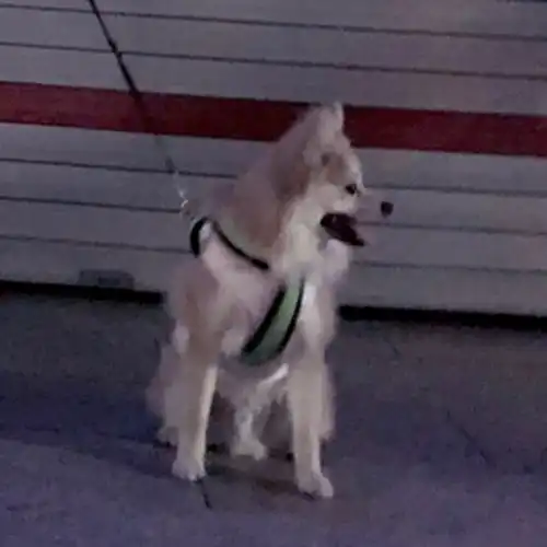  有什么好看的三人闺蜜头像,或者沙雕一点的闺头