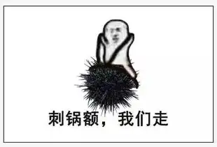 edg是什么意思表情包皮