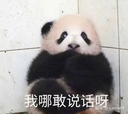 giao的表情包巴黎世家