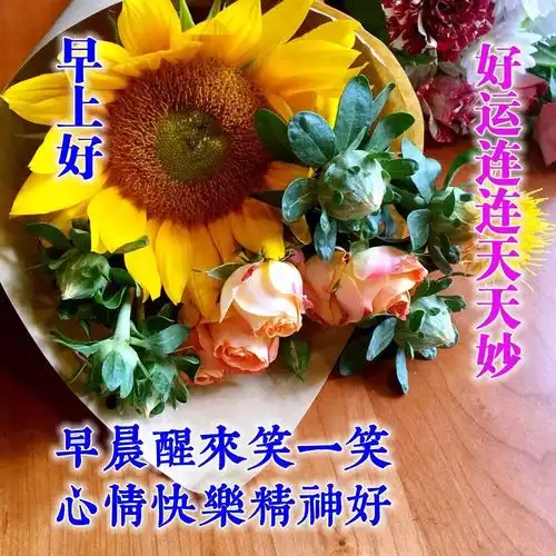 漂亮早上好问候语祝福表情图片早上好短信祝福语录最新版 漂亮早上好问候语祝福表情图片早上好短信祝福语录最新版