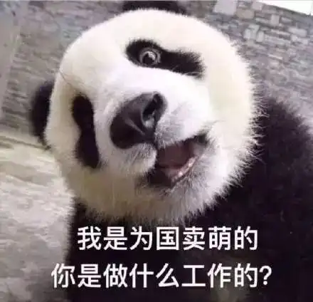  熊猫表情包来了