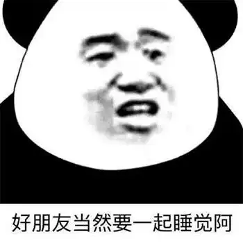  每日表情微信聊天斗图
