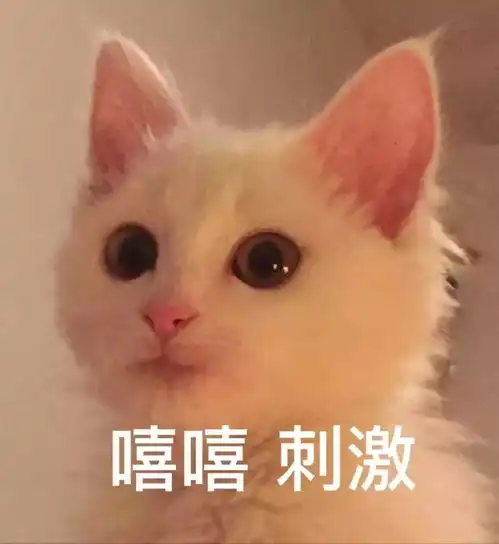  举国公认的国庆神坑旅游景点,你去过几个