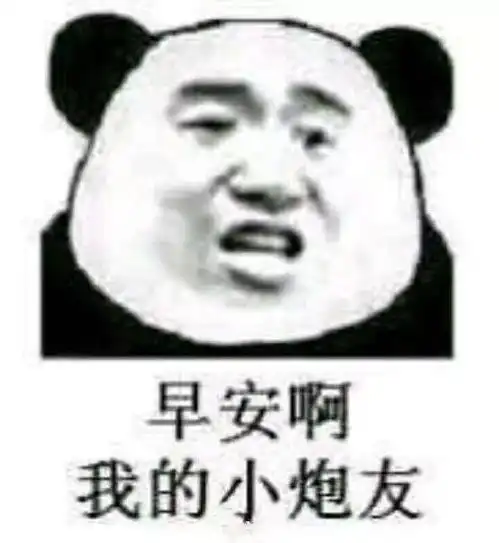  每日表情丨你就是小笨蛋笨蛋