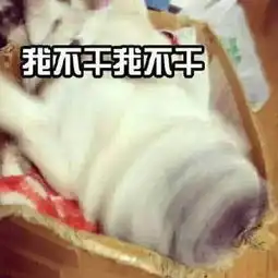  据说这就是女朋友不讲道理时的样子