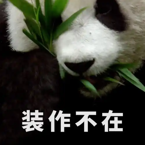 福利放送全套大熊猫表情包收好不谢 福利放送全套大熊猫表情包收好不谢