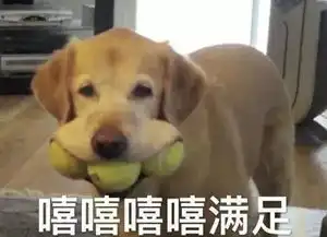  给你一个登上200寸广告大屏的机会,美图t9大片实验室空降上海