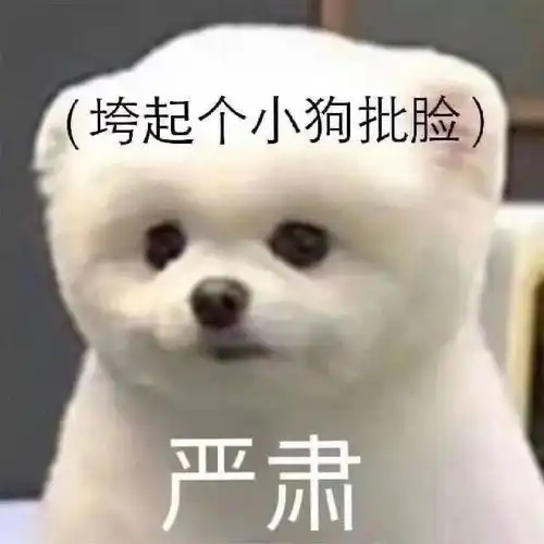  感觉已经很久很久没看到好看的现代言情小甜剧了