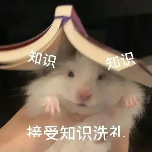  夏天护肤品放冰箱有必要吗