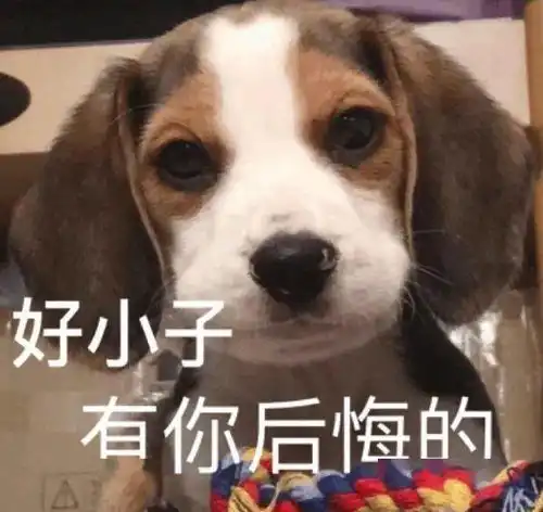  沙雕斗图必备表情包