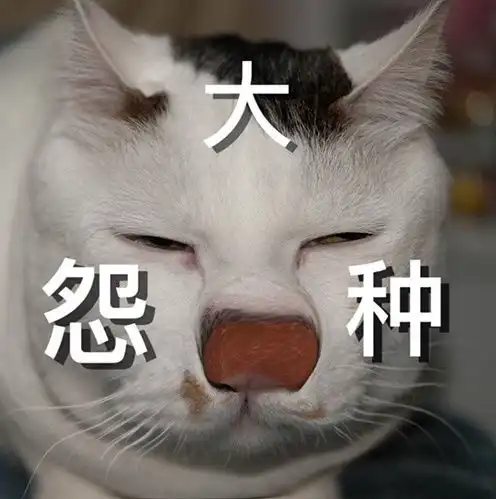  大冤种表情包有哪些大冤种表情包大全分享