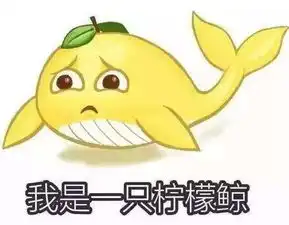  这波操作我给满分cyanracing再夺两冠,wtcr积分榜跃居第一