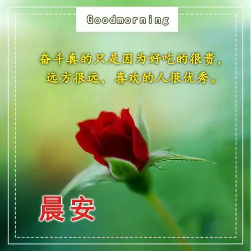  亲爱的朋友早安祝福语表情图片早上好问候图片