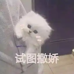  年会邀请函风华十载笃行无畏