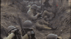  爆笑gif图坠入爱河,感觉他们两个好恩爱啊