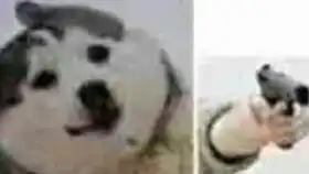  猴子时空棍,无意间出现了