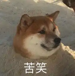 豚鼠特工队表情包方正电