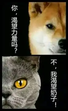  doge你渴望力量吗我渴望奶子表情图片你渴望力量吗表情包下载西西软件下载