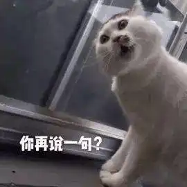  沙雕网友相约给猫舔毛,猫你有病啊