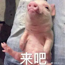  江西柯恩牧业集团