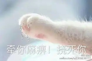  丑拒猫爪系列表情包