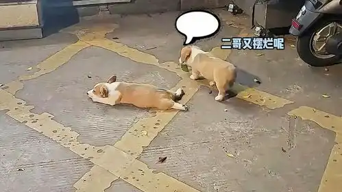  满嘴顺口溜,你要考研啊