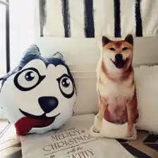  柴犬周边抱枕