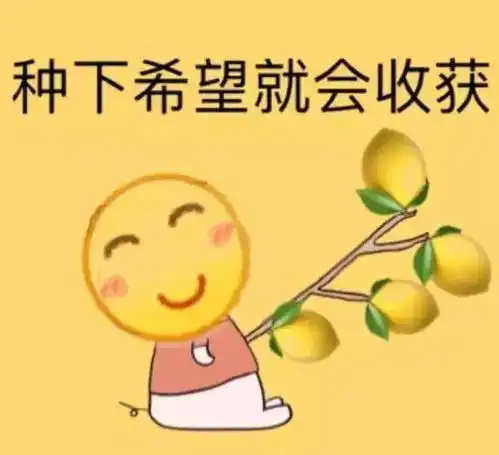  都大四了我才开始想着转专业