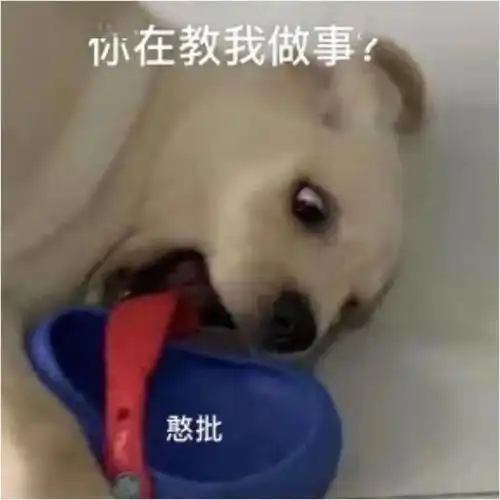  沙雕表情你在教我做事
