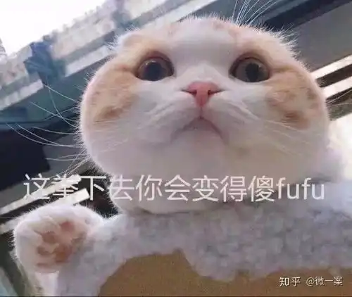  我看过那么多文案,却依然猜不中你的结尾