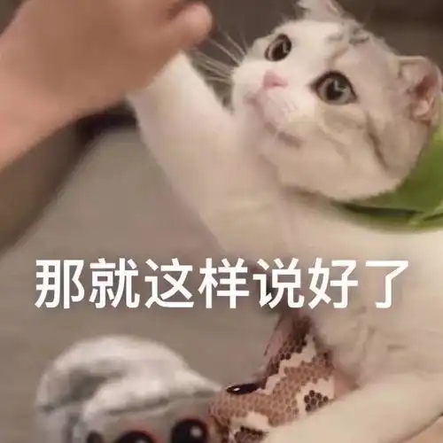  表情包别问,问就是没生气