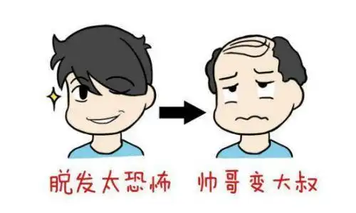  熬夜就会秃头是真的吗
