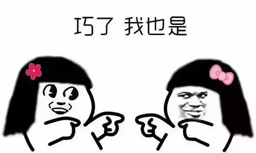  赵丽颖和冯绍峰的夫妻相,你和你家猫也有