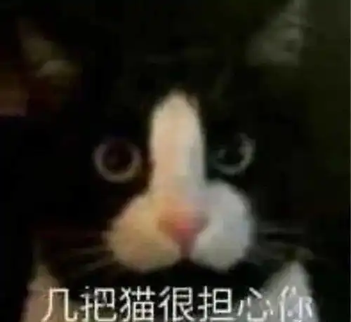  刚睡醒,什么事丨第299期猫咪表情包