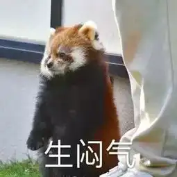  沙雕搞笑萌宠表情包